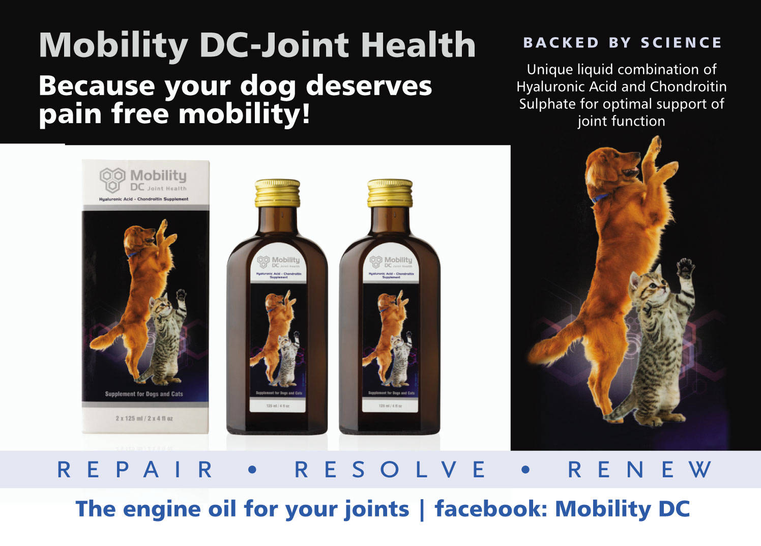 Postcard Design for Mobility DC Joint Health